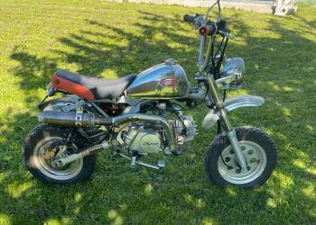 Skyteam monkey honda dax