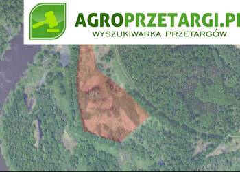Dzierżawa 32,37 ha gruntu rolnego