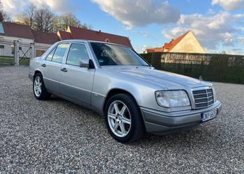 Zarejestrowany, webasto