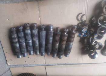 Brona Wirowa Lely,; Części