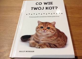 Książka - CO WIE TWÓJ KOT - Sally Morgan NOWA