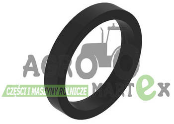 H155655 USZCZELKA 40x50x7,3 JD