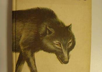 VARG-HUNDEN - JACK LONDON