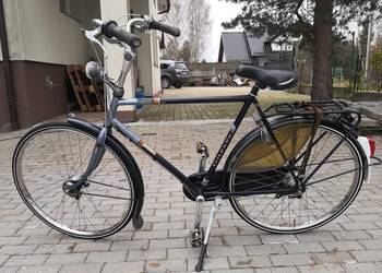 Gazella Impala szuka nowego właściciela