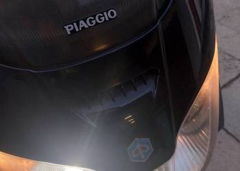Piaggio X8 nosek
