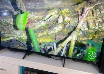 Panasonic Smart TV 58 cali