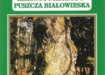 Klejnot Przyrody Puszcza Białowieska - B. E. Wysmułek.