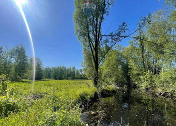 Działka ze stawem, 4085m2 w Budach Michałowskich