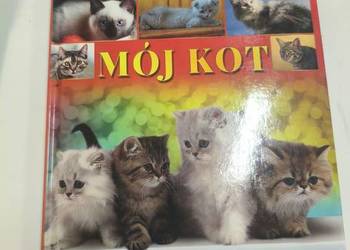 Mój kot. Wydawnictwo fenix. Ilustrowany opis ras.