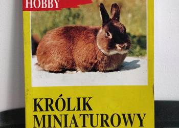 Książka, zwierzęta – Królik Miniaturowy.