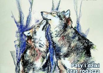 O wilku Łowiecki unikatowe egzemplarze księgarnia Warszawa