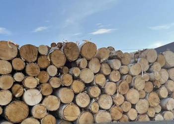 Różne rodzaje drewna opałowego/kominkowego Popielno