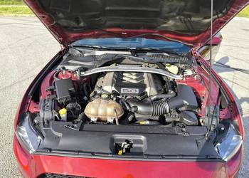 Ford Mustang GT cabrio 50 lecie 2015 rok