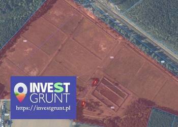 [84,93 ha] przetarg na dzierżawę gruntów inwestycyjnych