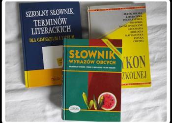 Zestaw książek dla dzieci, młodzieży słowniki