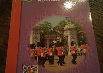 Idiomy języka angielskiego