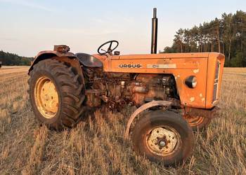 Ursus c-355