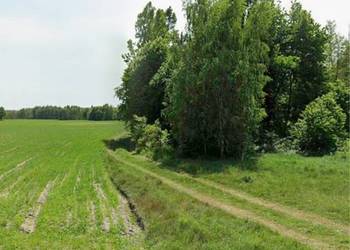 Działka Zamoście- Kolonia 0.27ha