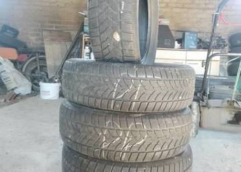 Opony zimowe Dunlop 225/65 R17 Opony zimowe Dunlop 225/65 R17