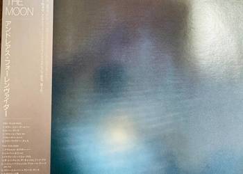 Down To The Moon (LP) Andreas Vollenweider Winyl