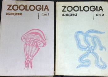 Zoologia. Bezkręgowce. Tom 1-2 - Eugeniusz Grabda