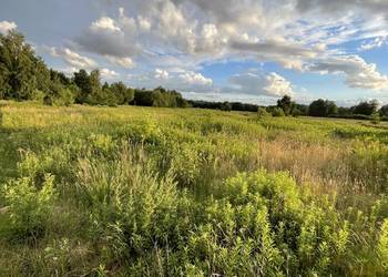 Działka budowlana 2033 m² z warunkami zabudowy – Wincentów, gmina Łąck