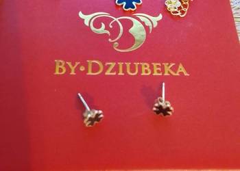 Łańcuszek i kolczyki