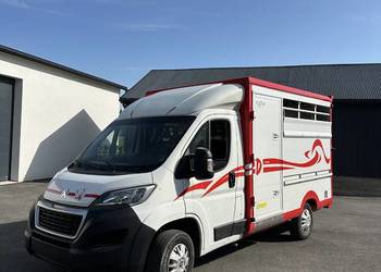 Bydlarka peugeot boxer