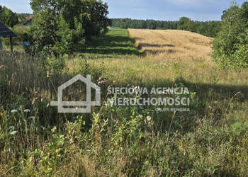 Grunt Skrzeszewo 1142m2