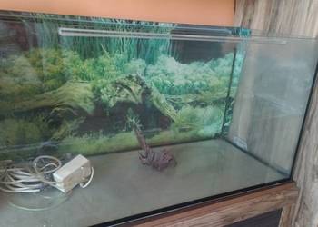 Akwarium 200L