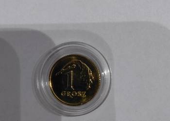 1 gr 2017 stan I