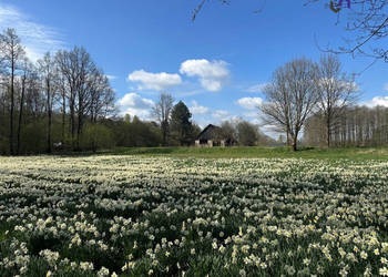 Sprzedaż gruntu Gostyń 2007m2
