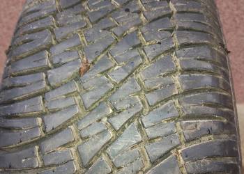 dębica navigator 185/65r15