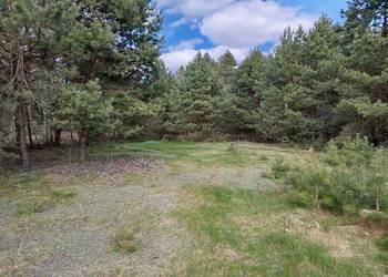 Sprzedam działkę rolną przy lesie 3900 m2 Talczyn Kolonia