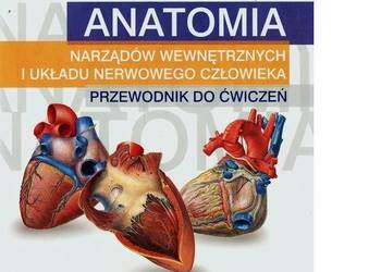 ANATOMIA NARZĄDÓW WEWNĘTRZNYCH PRZEWODNIK IGNASIAK /fa
