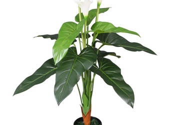 Sztuczna kalia z doniczką 85 cm biała WM-244445