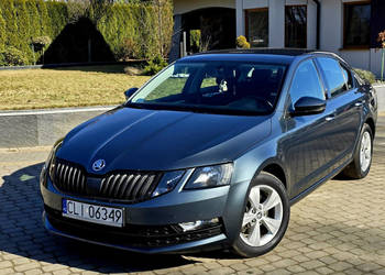 Škoda Octavia 1.4 TSi 150KM Ambition / Salon PL III (2013-)