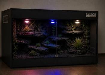 Terrarium pustynne dla gekona lamparciego agamy brodatej