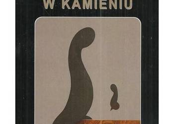 Cisza w kamieniu