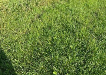 Oferta sprzedaży działki 300m2 Rozewie