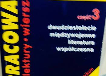 Polski dwudziestolecie międzywojenne młoda Polska literatura