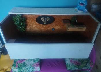 Terrarium plus lampy