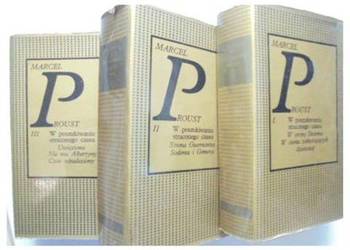 W POSZUKIWANIU STRACONEGO CZASU - PROUST M.