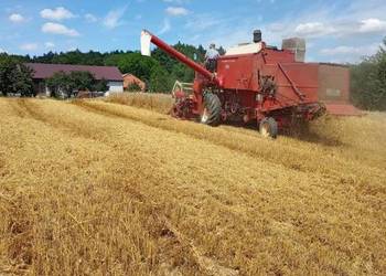 Kombajn zbożowy International 431