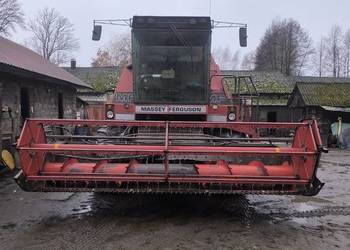 Kombajn zbożowy Massey Ferguson 31xp