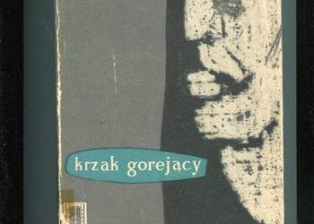 Krzak gorejący -Sigrid Undset