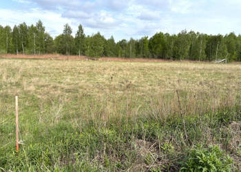 Działka z warunkami zabudowy – Pustelnik, 37 km od Warszawy