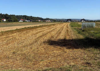 Sprzedam działka Podegrodzie 2700 metrów
