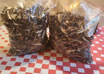 grzyby - podgrzybki suszone