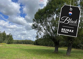 Działka siedliskowa w Pustelniku